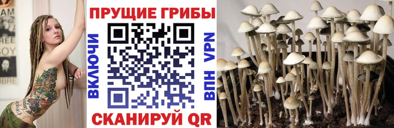 Псилоцибиновые грибы мухоморы  наркотики  Златоуст 
