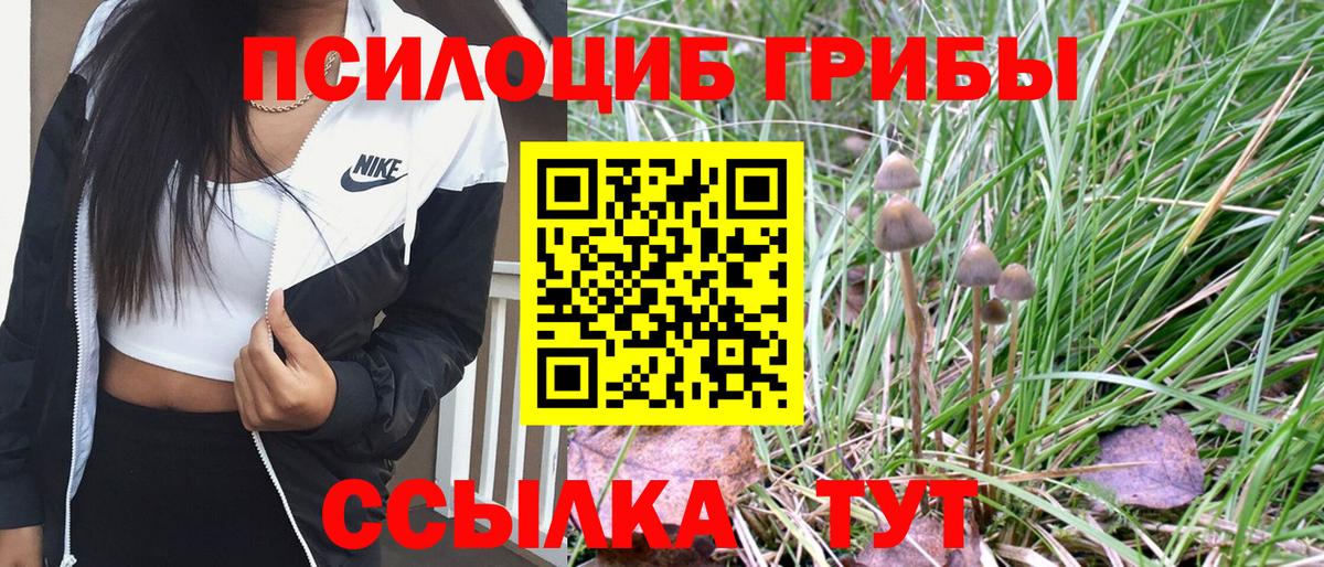 Галлюциногенные грибы Psilocybine cubensis  Галлюциногенные грибы ЛСД  Вход с VPN  Златоуст 